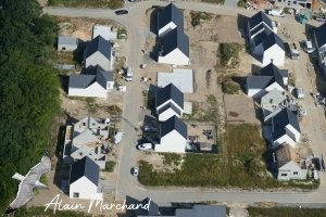 P1600453 2023 06 12 Allée Des Aigrettes, Des Spatules